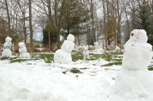 stanley park train christmas cGCg